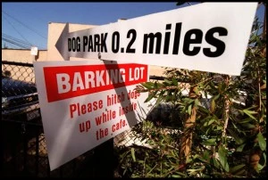 Barking Dog Barking Dog