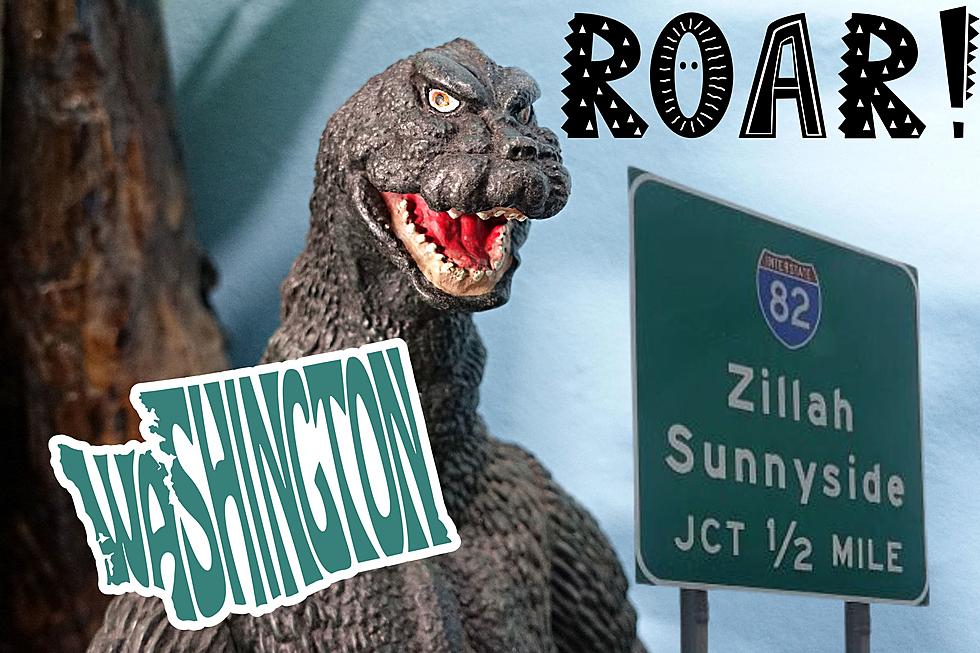The Legendary Truth: Is Zillah Washington Really Named for Godzilla?