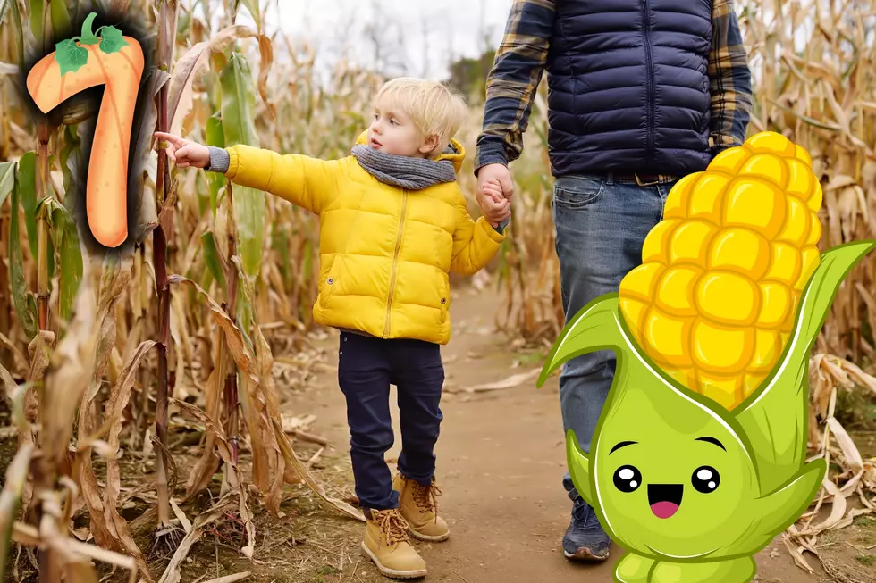 7 of the Best Corn Mazes To Explore in Washington State
