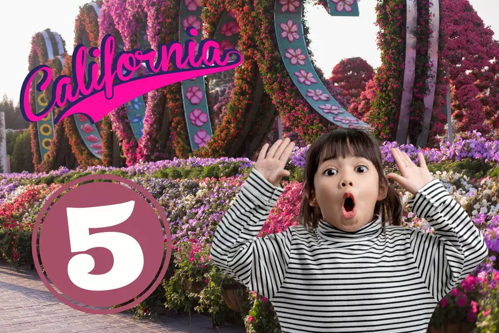 5 Crazy and Unusual California Attractions You Must Visit