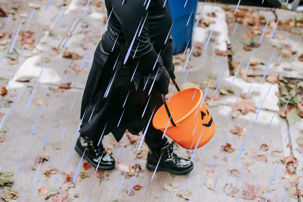 Tri-Cities Trick-or-Treaters Get a Treat: Mild, Dry Weather for Halloween Night